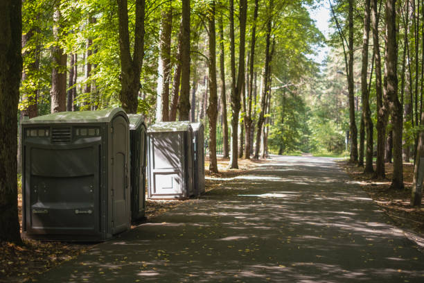 Best Emergency porta potty rental  in Mountain Iron, MN